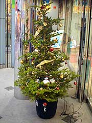 店頭を飾るクリスマスツリー
