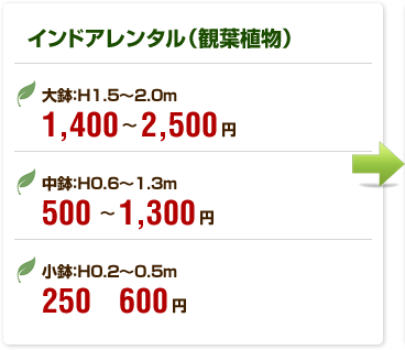 1ヶ月料金価格:インドアレンタル（観葉植物）